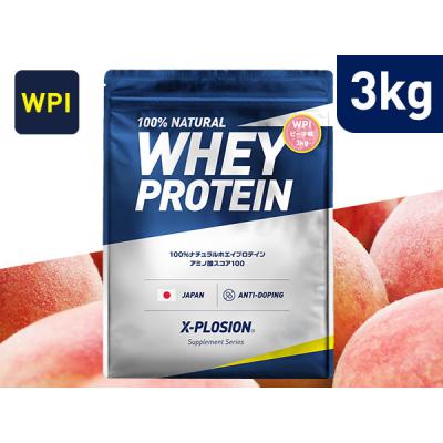 X-PLOSION Yahoo!店 - ホエイプロテイン アイソレート（WPI