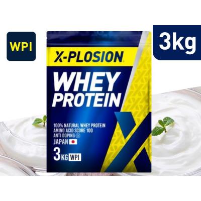 X-PLOSION Yahoo!店 - ホエイプロテイン アイソレート（WPI）｜Yahoo