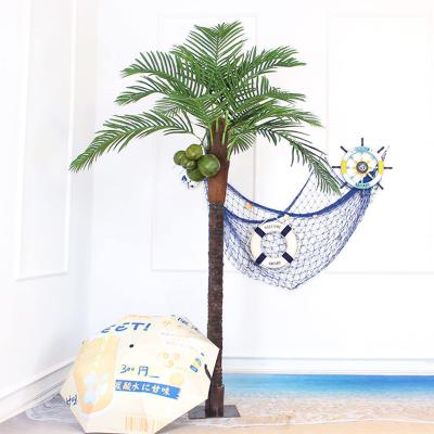 ココスヤシ 植物の商品一覧 通販 - Yahoo!ショッピング