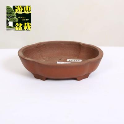 盆栽鉢 作家 常滑のおすすめ人気商品一覧 通販 - Yahoo!ショッピング