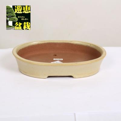 遊恵盆栽 Yahoo!店 - 有名作家小鉢｜Yahoo!ショッピング