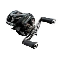 ダイワ　24STEEZ SV TW 100XHL / スティーズ 左ハンドル | つり具のBunBun Yahoo!店