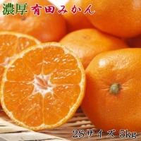 ふるさと納税 湯浅町 「先行受付2026年11月中旬より順次発送」[秀品]和歌山有田みかん約5kg(2Sサイズ) | Yahoo!ふるさと納税