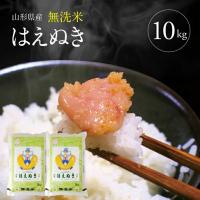 ふるさと納税 酒田市 【令和7年産】無洗米 はえぬき　5kg×2袋 | Yahoo!ふるさと納税