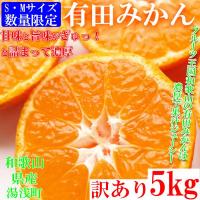 ふるさと納税 湯浅町 先行受付【ご家庭用】和歌山有田みかん5kg(S、Mサイズいずれか)【湯浅町】 | Yahoo!ふるさと納税