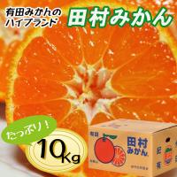 ふるさと納税 湯浅町 高級みかん秀品「田村みかん」10kg【12月発送分】 | Yahoo!ふるさと納税