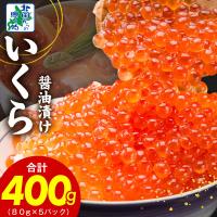 ふるさと納税 泉佐野市 いくら 醤油漬け 80g×5P 特製昆布醤油仕立て 020C397 | Yahoo!ふるさと納税