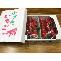 ふるさと納税 土庄町 【小豆島】【先行受付2027年】小豆島のいちご(女峰)　DXパック (250g×2パック入り) | Yahoo!ふるさと納税