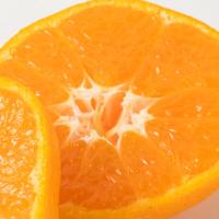 ふるさと納税 有田川町 【有田川町】【2026年11月下旬より発送】完熟有田みかん　10kg | Yahoo!ふるさと納税