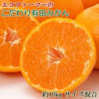 ふるさと納税 有田川町 エコファーマーのこだわり有田みかん約10kg(サイズ混合)2026年11月中旬〜順次発送(有田川町) | Yahoo!ふるさと納税