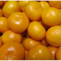 ふるさと納税 山鹿市 熊本みかん【秀品】10kg | Yahoo!ふるさと納税