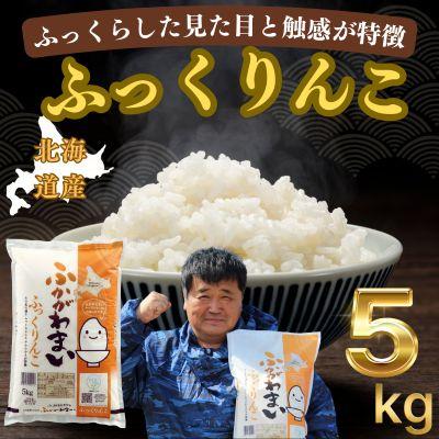 ふるさと納税 米 5kg（食品）のおすすめ人気商品一覧 通販