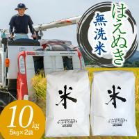 ふるさと納税 鶴岡市 【令和7年産】山形県庄内産 小池半左衛門のお米　はえぬき 無洗米 5kg×2袋 計10kg | Yahoo!ふるさと納税