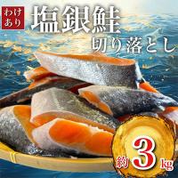 ふるさと納税 いすみ市 【訳あり】人気の海鮮お礼品 チリ産 定塩 塩銀鮭切り落とし(端材)約3kg | Yahoo!ふるさと納税