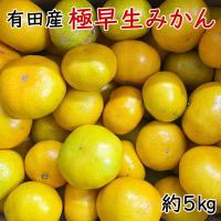 ふるさと納税 美浜町 【秀品】有田産極早生みかん約5kg(2S〜Lサイズ混合)(美浜町) | Yahoo!ふるさと納税
