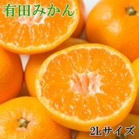 ふるさと納税 有田川町 [秀品]和歌山有田みかん約10kg大玉(2Lサイズ)(有田川町) | Yahoo!ふるさと納税