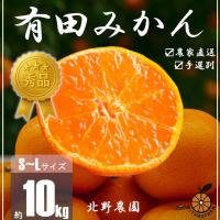 ふるさと納税 湯浅町 秀品 有田みかん 和歌山県産　S〜Lサイズ 大きさお任せ 10kg | Yahoo!ふるさと納税