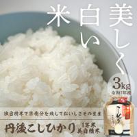 ふるさと納税 京丹後市 令和7年産　丹後こしひかり1等米3kg　美白精米 | Yahoo!ふるさと納税