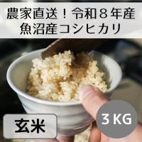 ふるさと納税 十日町市 【先行予約・令和8年産】新潟県魚沼産コシヒカリ「山清水米」玄米3kg | Yahoo!ふるさと納税