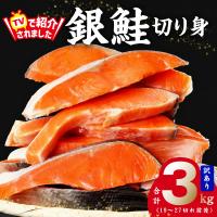 ふるさと納税 泉佐野市 【TVで紹介!】銀鮭切り身 3kg 訳あり サイズ不揃い 27切れ前後 kgp0018 | Yahoo!ふるさと納税