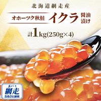 ふるさと納税 網走市 【北海道産】オホーツク秋鮭いくら醤油漬　1kg(250g×4パック)　いくら丼にもおすすめ! | Yahoo!ふるさと納税