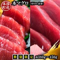 ふるさと納税 本部町 【数量限定】本マグロ(中トロ・赤身)セット 約380g〜450g | Yahoo!ふるさと納税