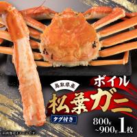 ふるさと納税 智頭町 鳥取県産　タグ付きボイル松葉ガニ大1枚(800〜900g) | Yahoo!ふるさと納税