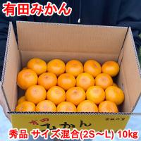 ふるさと納税 有田川町 【秀品・サイズ混合】まる隆果樹園　和歌山有田産!早生みかん≪10kg≫【予約】【数量限定】 | Yahoo!ふるさと納税