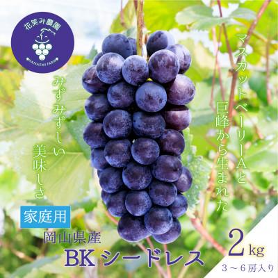 bkシードレス苗のおすすめ人気商品一覧 通販 - Yahoo!ショッピング