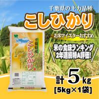 ふるさと納税 大網白里市 【令和7年産】【特A評価】千葉県産「コシヒカリ」精米 5kg(5kg×1袋) | Yahoo!ふるさと納税