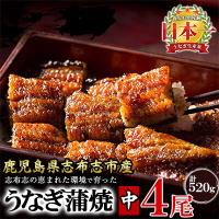 ふるさと納税 志布志市 鹿児島県産 うなぎの大楠 〈中〉 4尾 計520g 130g×4 【大楠鰻】 b5-171 | Yahoo!ふるさと納税