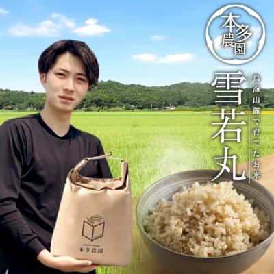 ふるさと納税 玄米 15kgのおすすめ人気商品一覧 通販 - Yahoo