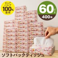 ふるさと納税 泉佐野市 ソフトパックティッシュ 60パック×400枚 010B1754