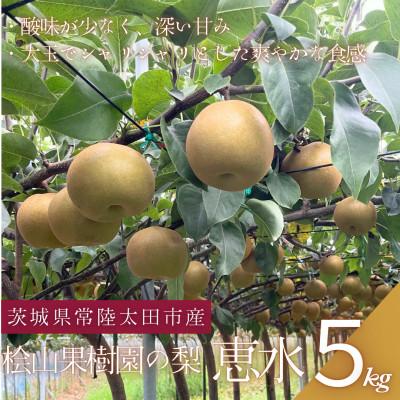 茨城 梨 恵水（食品）のおすすめ人気商品一覧 通販 - Yahoo