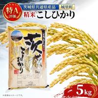 ふるさと納税 水戸市 【令和7年産】特A評価 茨城県産 お米 コシヒカリ 精米 5kg ( 米 どころ 茨城県/城里町) | Yahoo!ふるさと納税