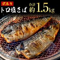 ふるさと納税 銚子市 【2026年4月以降発送開始】トロ塩さば　1.5kg　訳あり | Yahoo!ふるさと納税