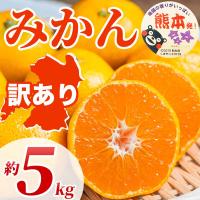 ふるさと納税 宇城市 【先行予約】熊本県 宇城市産 ご家庭用 訳あり みかん 3S〜3L 約5kg(宇城市) | Yahoo!ふるさと納税