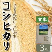 ふるさと納税 宍粟市 【令和7年産】しそうのおいしい お米　コシヒカリ 玄米3Kg　K9 | Yahoo!ふるさと納税