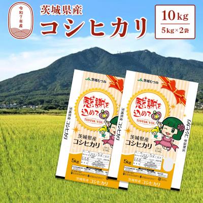茨城産 コシヒカリ 2㎏のおすすめ人気商品一覧 通販 - Yahoo