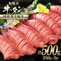 ふるさと納税 気仙沼市 牛タン 国産黒毛和牛 「福糀丑(ふっこううし)」計500g(250g×2p) [20563831] | Yahoo!ふるさと納税