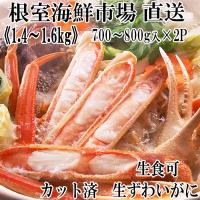 ふるさと納税 根室市 生食可!カット済み生ずわいがに700〜800g×2P B-28088 | Yahoo!ふるさと納税