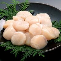 ふるさと納税 紋別市 北海道オホーツク海産ほたて玉冷1kg | Yahoo!ふるさと納税