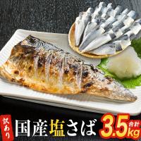 ふるさと納税 石巻市 さば 〈 訳あり 〉 国産 塩さば フィーレ 3.5kg 冷凍 切身 フィレ 鯖 不揃い 石巻市 | Yahoo!ふるさと納税
