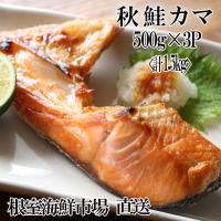 ふるさと納税 根室市 甘汐天然秋鮭カマ500g×3P(計1.5kg) G-11042 | Yahoo!ふるさと納税