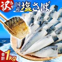 ふるさと納税 石巻市 訳あり 塩サバフィーレ 1kg (10枚前後) 鯖 冷凍 不揃い 魚 お魚  おかず お弁当 | Yahoo!ふるさと納税