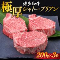 ふるさと納税 糸島市 【極厚シャトーブリアン】約200g×3枚 博多和牛 A4ランク 和牛 ヒレ[ACA172] | Yahoo!ふるさと納税