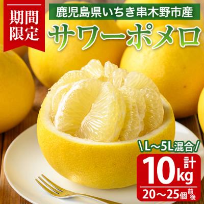 サワーポメロ（フルーツ） | 食品 のおすすめ人気商品一覧 通販