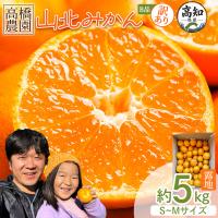 ふるさと納税 香南市 山北みかん 5kg 小玉 訳あり B品 甘い 人気 訳あり 果物 フルーツ th-0031 | Yahoo!ふるさと納税