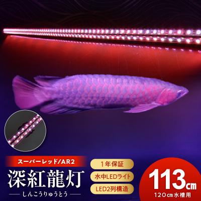 水中LEDライト　120cm水槽　ゴールド 水中ライト 水槽 120cmのおすすめ人気商品一覧 通販 - Yahoo