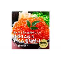 ふるさと納税 名古屋市 いくら 醤油漬け 300g(150g×2P) 鱒の卵  冷凍 尾張まるはち | いくら イクラ | Yahoo!ふるさと納税